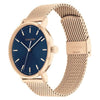 CalvinCALVIN KLEIN MENS QUARTZ MULTIFUNCTION MESH BRACELET STAINLESS STEEL WATCH